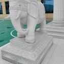 南阳 白麻花岗岩动物异形石雕-大象