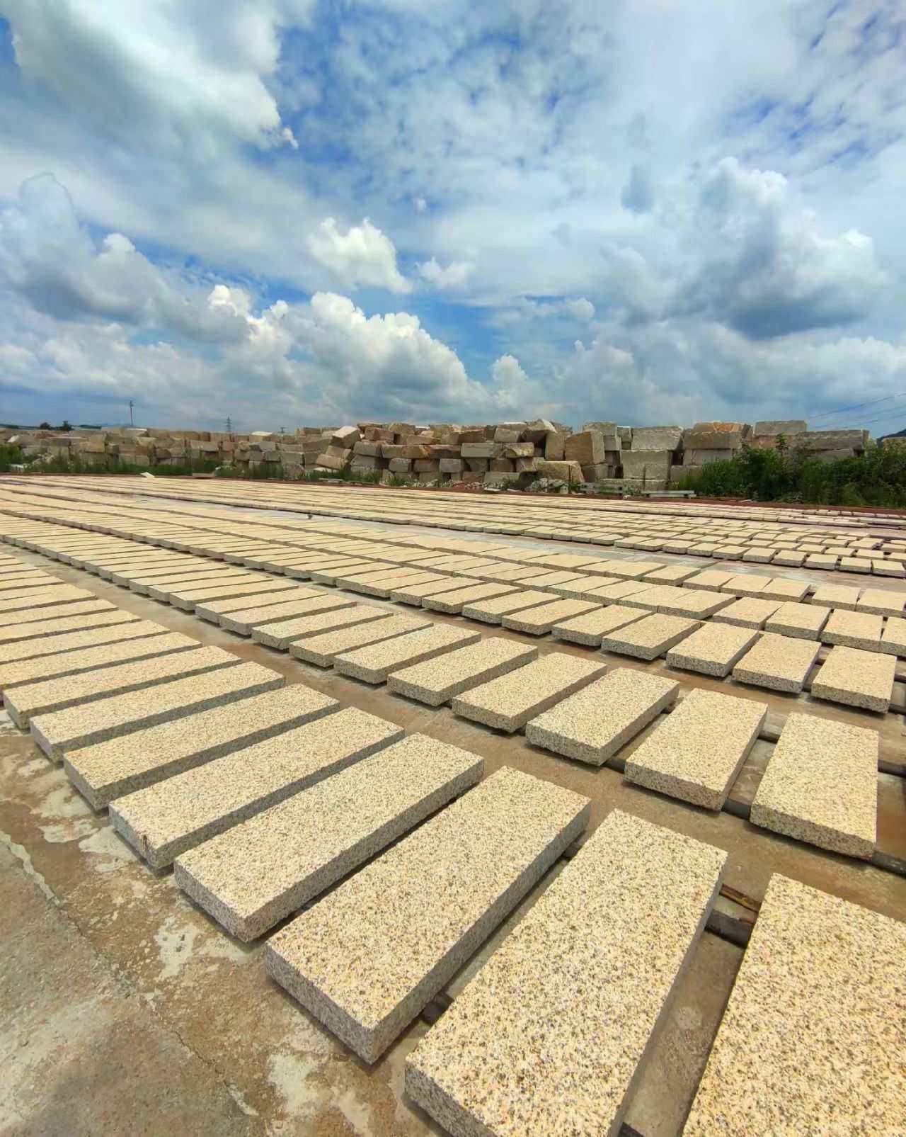 南阳 黄金麻花岗岩荔枝面地铺石防护中